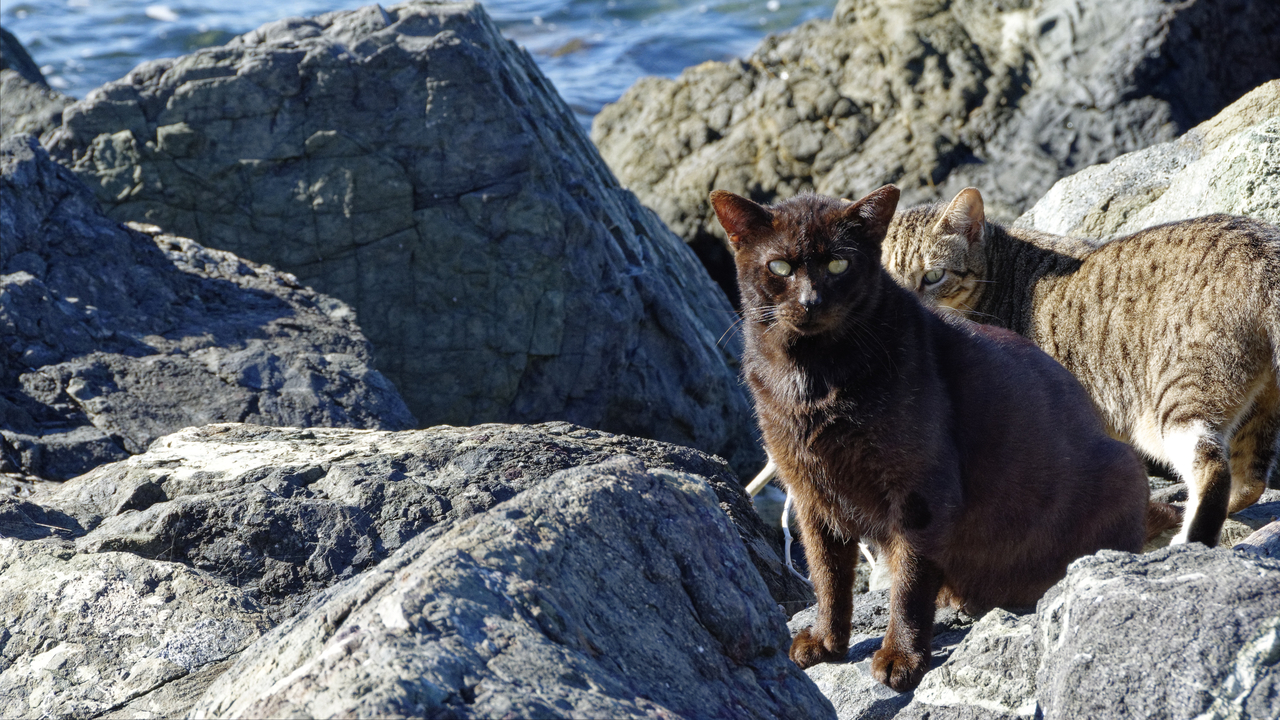 20190129-093424••Old San Juan•San Juan•Puerto Rico